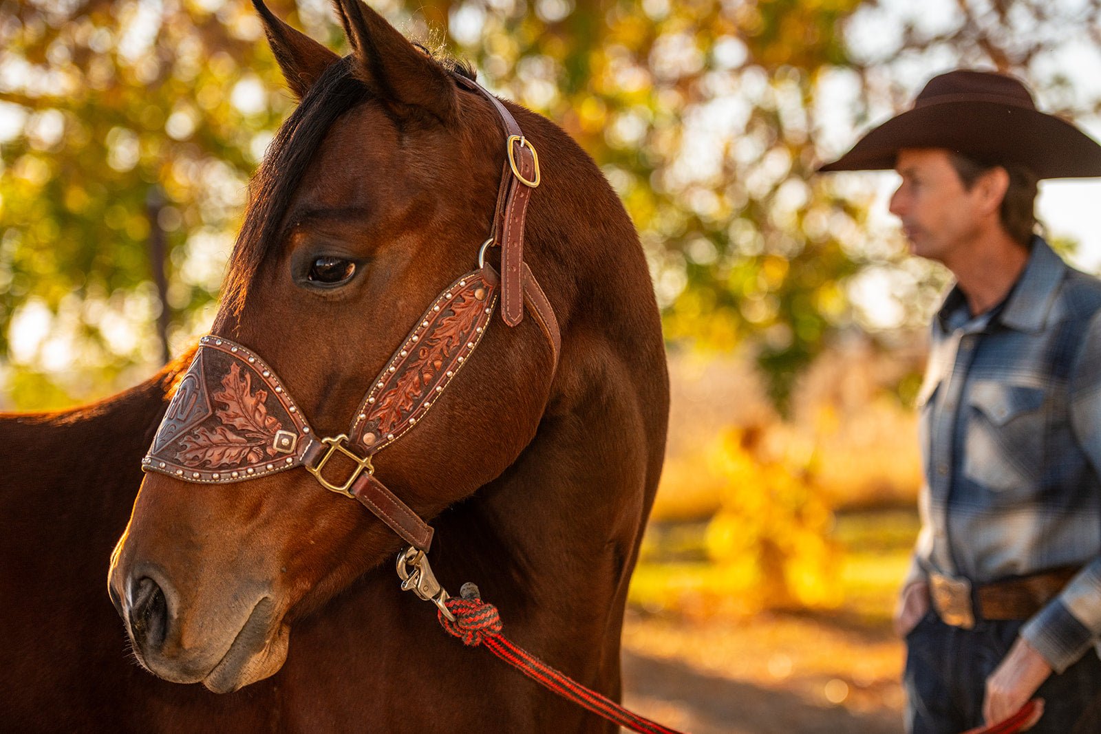 Best Laundry Detergent for Clean, Long-Lasting Freshness - Ranch X Goods